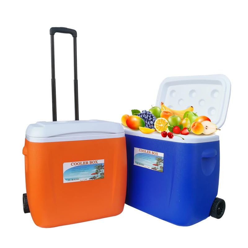 Large Insulated Camping Cooler