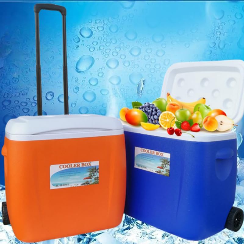 Large Insulated Camping Cooler