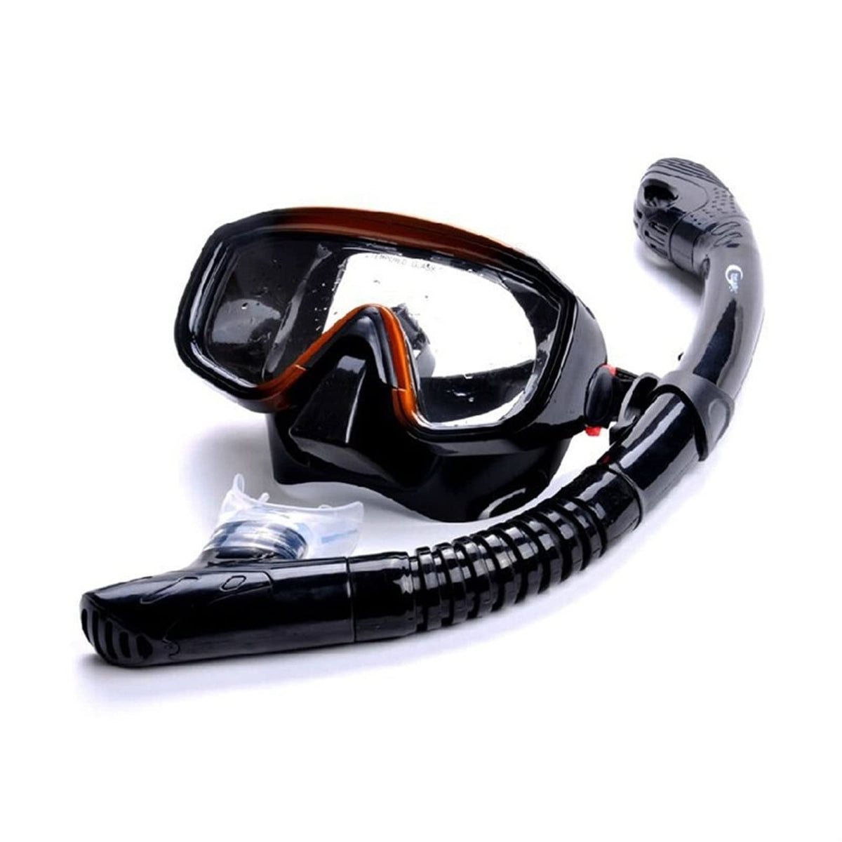 Panoramic Dry Snorkel Mask Set